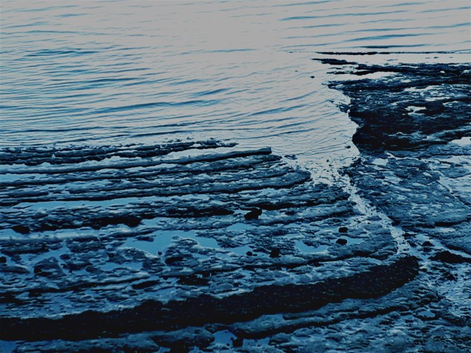 20180903_223136 (2).jpg