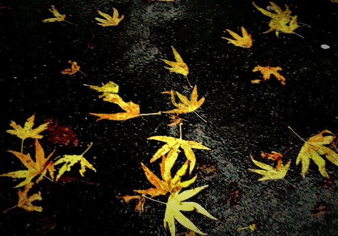 20180709_092012 (2).jpg