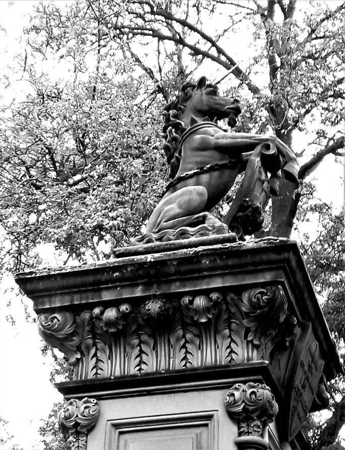 20191007_114122 (2).jpg