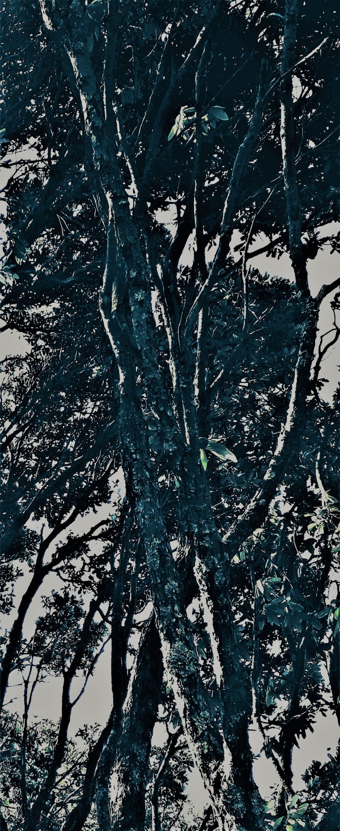 20191222_203230 (5).jpg